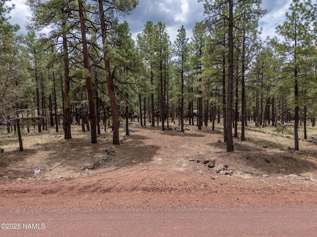 7454 E Robin Hood Rd, Williams, AZ 86046 - photo 5
