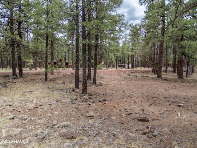 7454 E Robin Hood Rd, Williams, AZ 86046 - photo 10