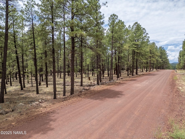 7454 E Robin Hood Rd, Williams, AZ 86046 - photo 3