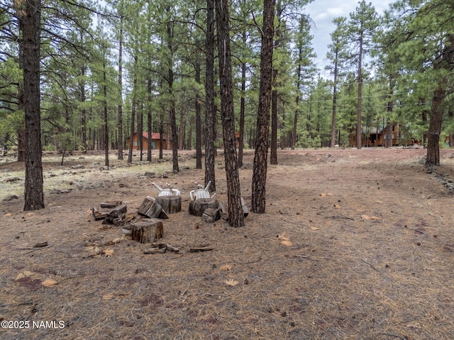 7454 E Robin Hood Rd, Williams, AZ 86046 - photo 9