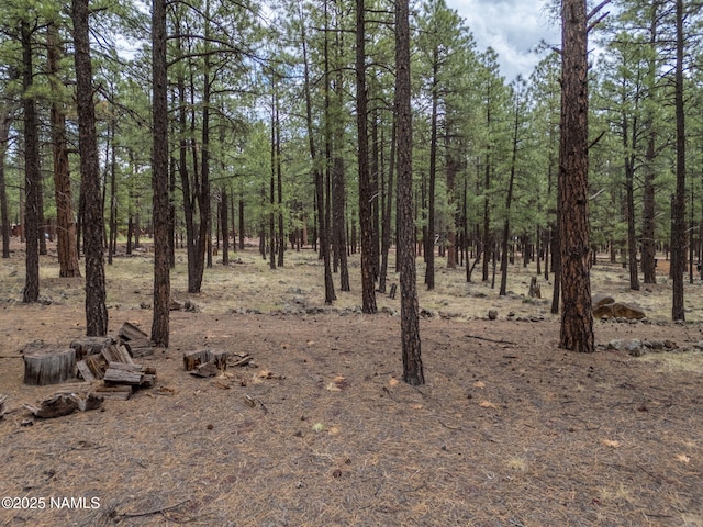 7454 E Robin Hood Rd, Williams, AZ 86046 - photo 11