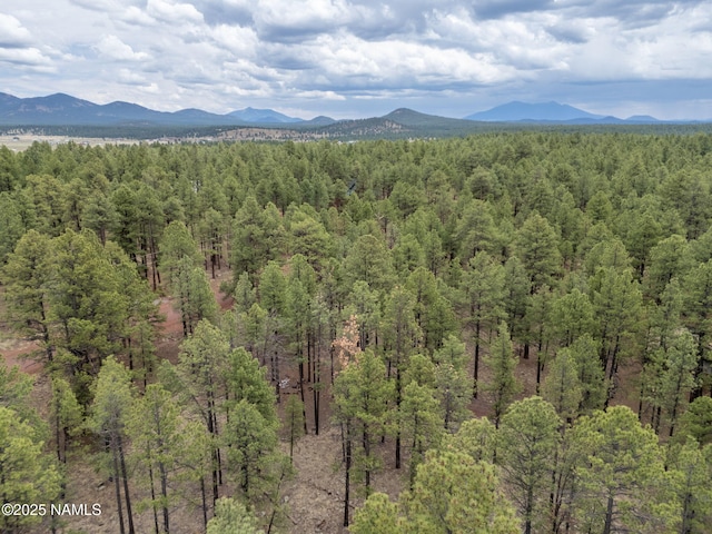 7454 E Robin Hood Rd, Williams, AZ 86046 - photo 13