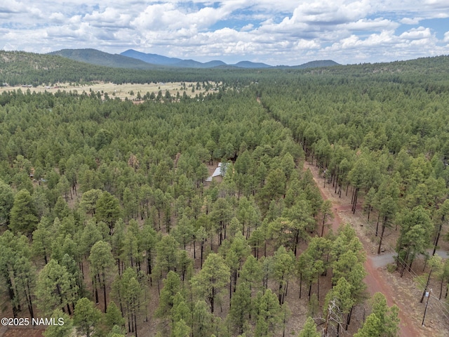 7454 E Robin Hood Rd, Williams, AZ 86046 - photo 15