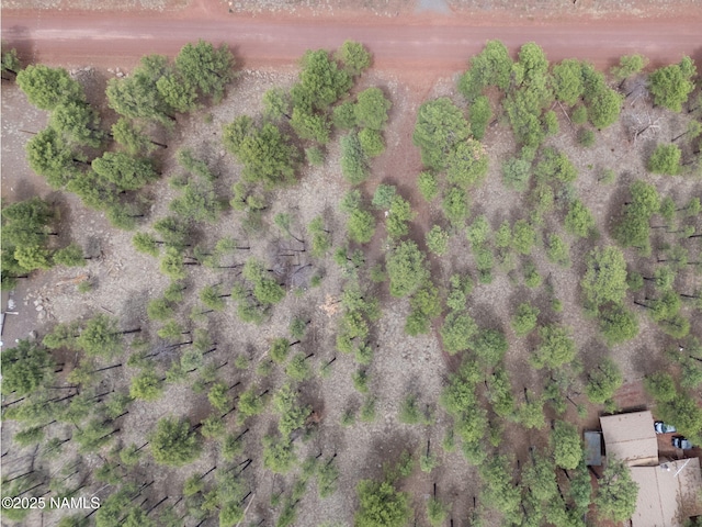 7454 E Robin Hood Rd, Williams, AZ 86046 - photo 19