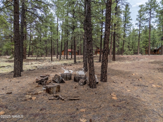 7454 E Robin Hood Rd, Williams, AZ 86046 - photo 8