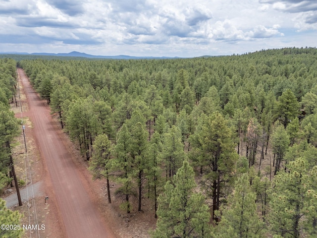7454 E Robin Hood Rd, Williams, AZ 86046 - photo 1