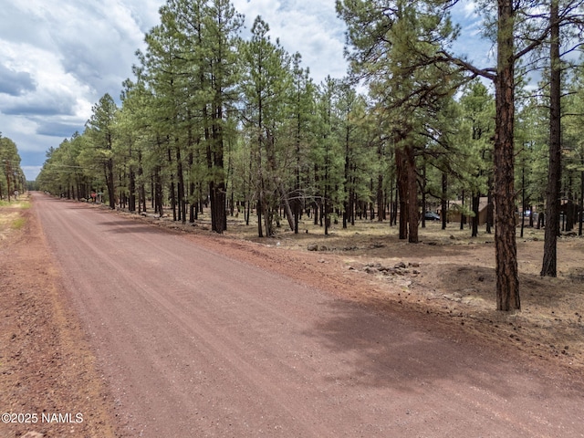 7454 E Robin Hood Rd, Williams, AZ 86046 - photo 4