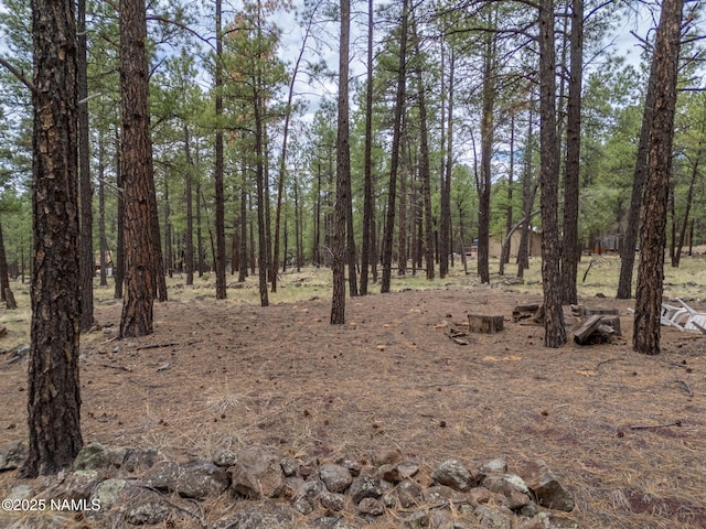 7454 E Robin Hood Rd, Williams, AZ 86046 - photo 12