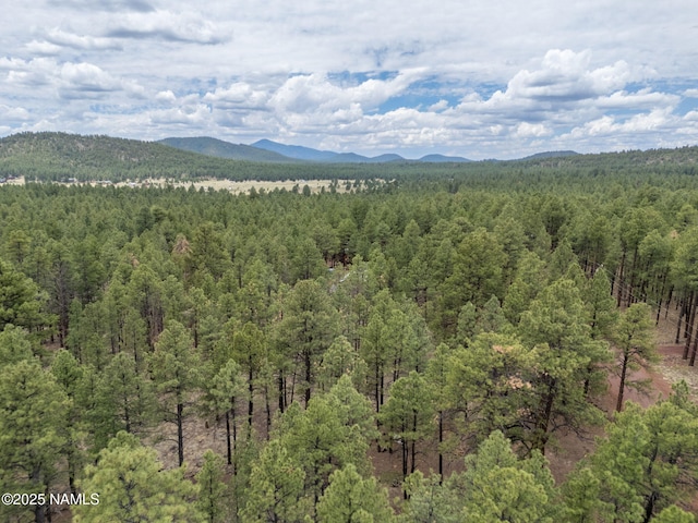 7454 E Robin Hood Rd, Williams, AZ 86046 - photo 14