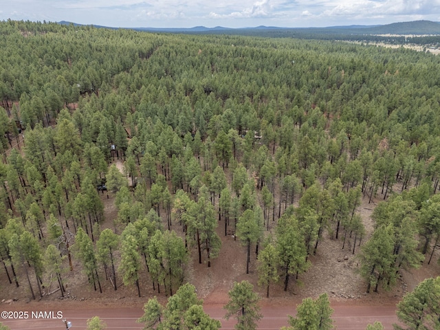 7454 E Robin Hood Rd, Williams, AZ 86046 - photo 18