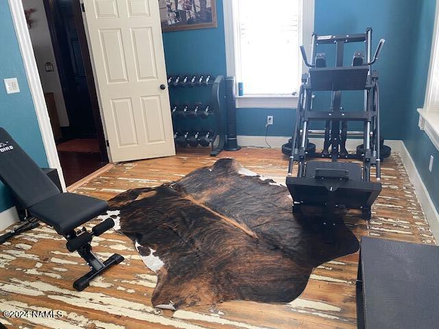 exercise room featuring wood-type flooring