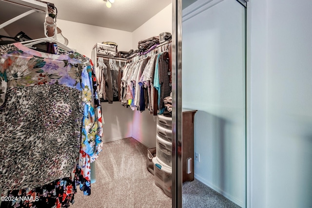 333 Chipeta Ln, Lake Havasu City, AZ 86403 - walk in closet with carpet flooring
