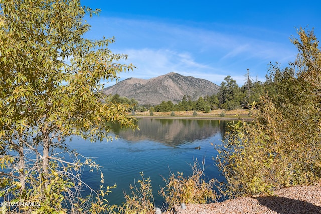 view of water feature featuring a mountain view