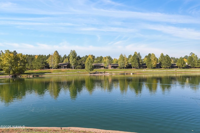 view of water feature