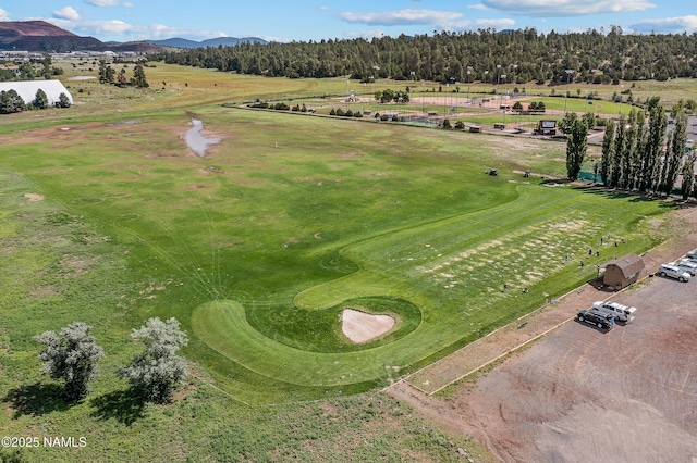 birds eye view of property featuring a mountain view