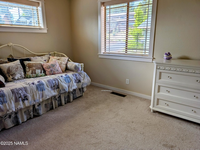 4162 S Pheasant Run Dr, Flagstaff, AZ 86005 - photo 9