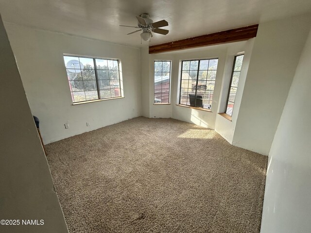 8120 N Cassity Trl, Williams, AZ 86046 - spare room with ceiling fan and carpet floors