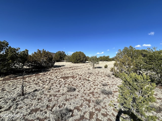 8120 N Cassity Trl, Williams, AZ 86046 - view of yard