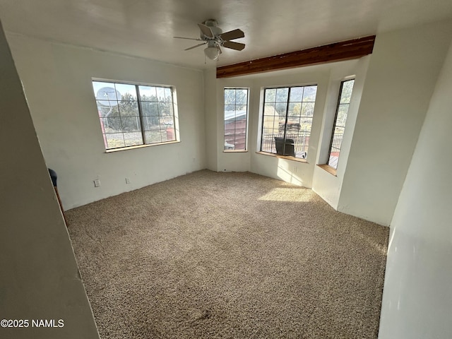 8120 N Cassity Trl, Williams, AZ 86046 - unfurnished room featuring carpet flooring and a ceiling fan