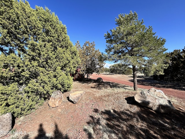 8120 N Cassity Trl, Williams, AZ 86046 - view of yard