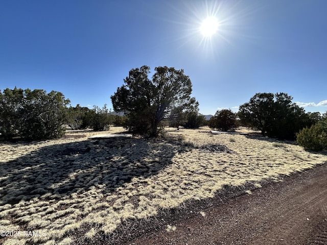 8120 N Cassity Trl, Williams, AZ 86046 - view of yard