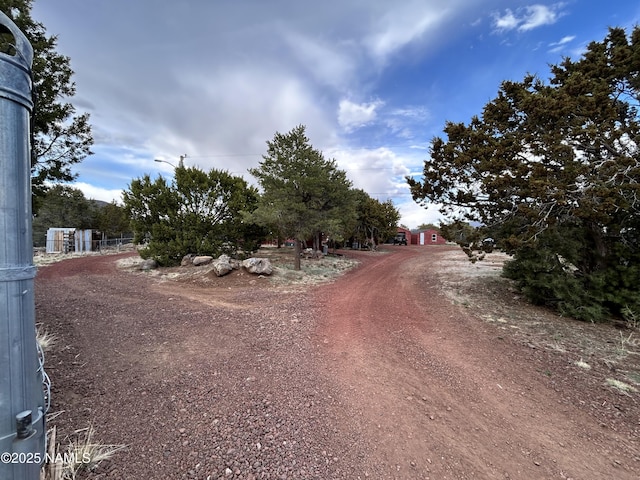 8120 N Cassity Trl, Williams, AZ 86046 - view of dirt / gravel driveway