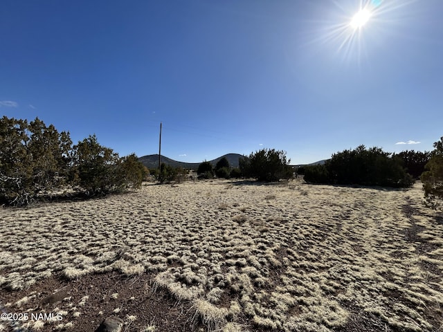 8120 N Cassity Trl, Williams, AZ 86046 - view of yard with a mountain view