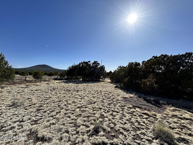 8120 N Cassity Trl, Williams, AZ 86046 - view of yard