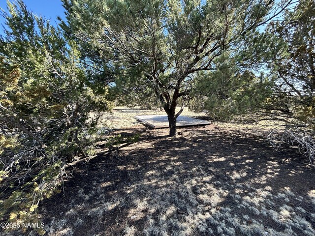 8120 N Cassity Trl, Williams, AZ 86046 - view of road