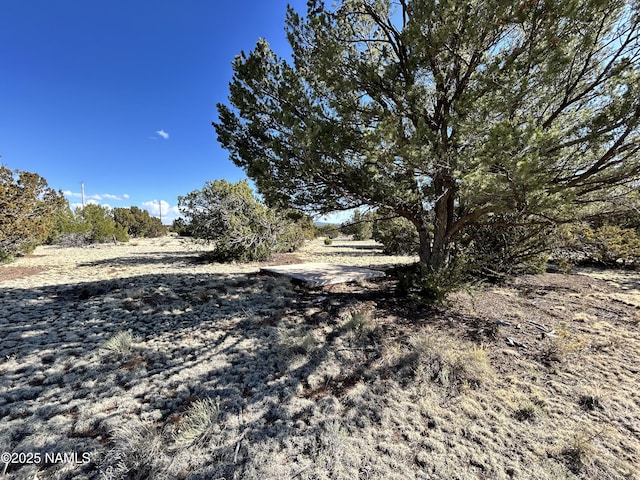 8120 N Cassity Trl, Williams, AZ 86046 - view of street