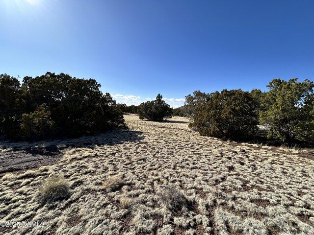 8120 N Cassity Trl, Williams, AZ 86046 - view of yard