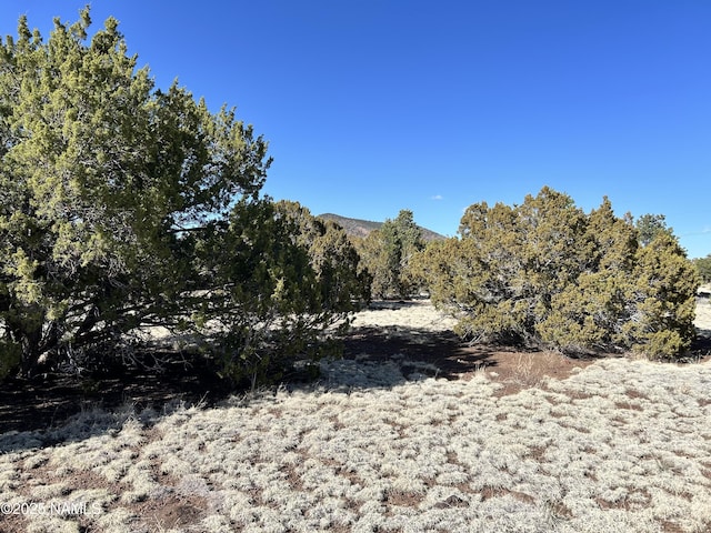 8120 N Cassity Trl, Williams, AZ 86046 - view of undeveloped land