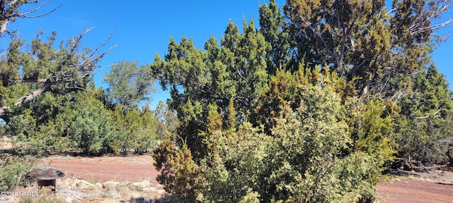 4650 Juniper Rd, Williams, AZ 86046 - photo 36