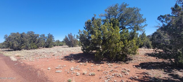 4650 Juniper Rd, Williams, AZ 86046 - photo 34