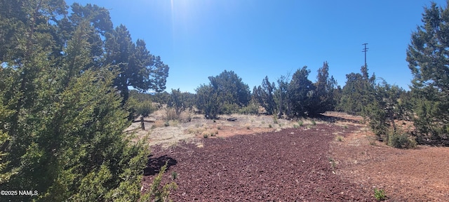 4650 Juniper Rd, Williams, AZ 86046 - photo 4