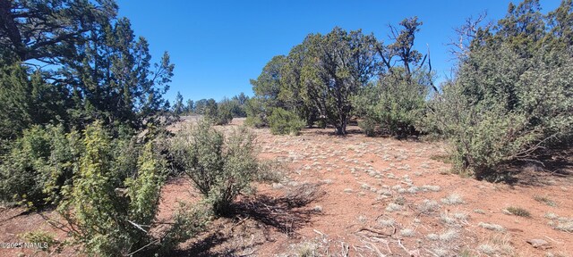 4650 Juniper Rd, Williams, AZ 86046 - photo 25