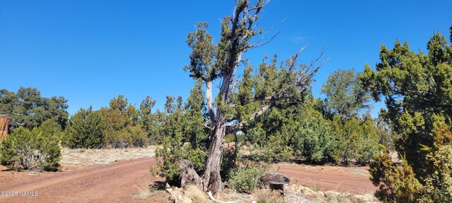 4650 Juniper Rd, Williams, AZ 86046 - photo 35