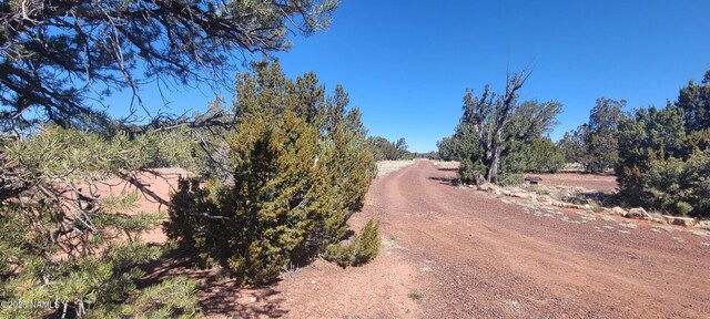 4650 Juniper Rd, Williams, AZ 86046 - photo 19
