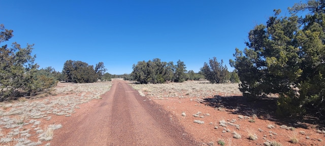 4650 Juniper Rd, Williams, AZ 86046 - photo 33