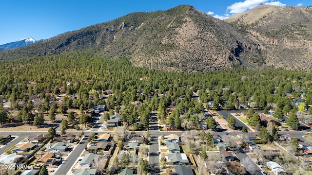 3540 N Walker St, Flagstaff, AZ 86004 - property view of mountains with a residential view and a wooded view