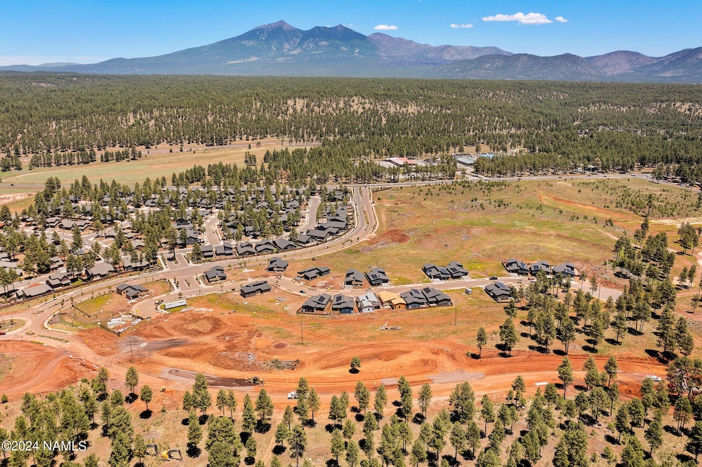 aerial view featuring a mountain view