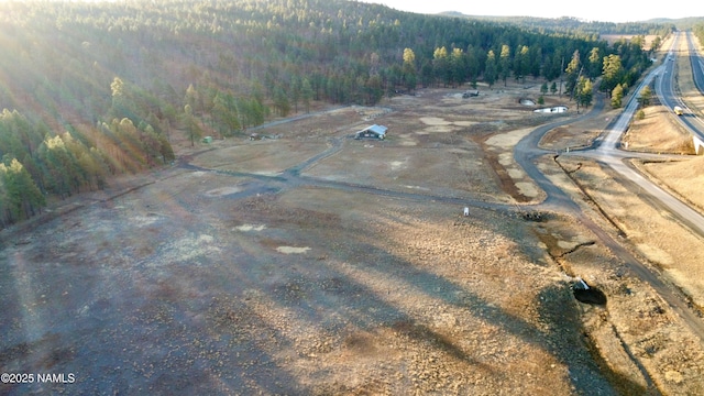 aerial view with a forest view