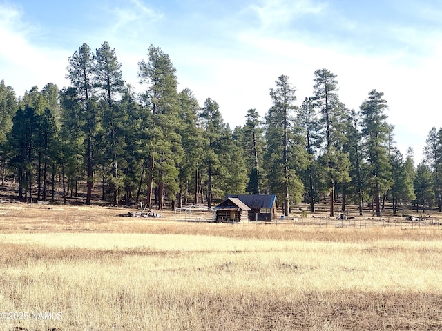 12405 Forest Service 772 Rd, Flagstaff, AZ 86005 - photo 6
