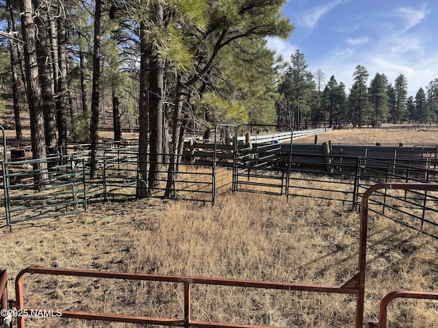 12405 Forest Service 772 Rd, Flagstaff, AZ 86005 - photo 9