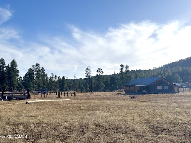 12405 Forest Service 772 Rd, Flagstaff, AZ 86005 - photo 8