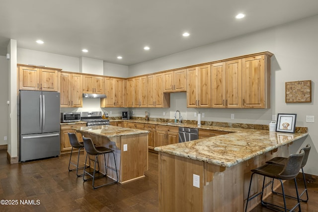 kitchen with dark wood finished floors, stainless steel appliances, light stone countertops, under cabinet range hood, and a kitchen breakfast bar