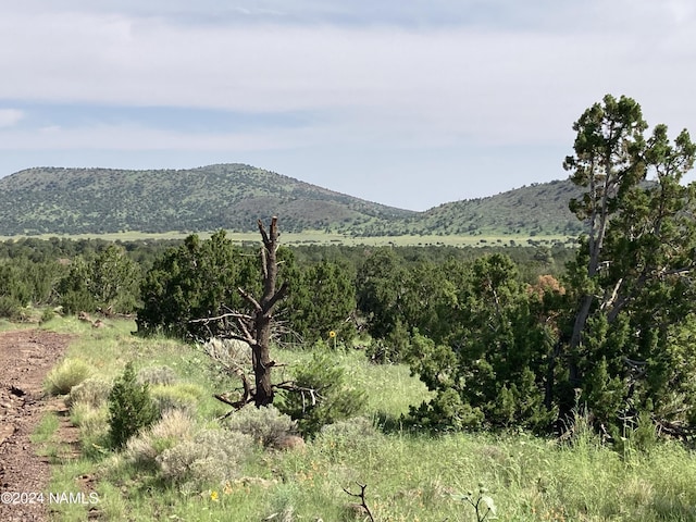23320 Forest Service 548 Rd, Flagstaff, AZ 86001 - photo 5