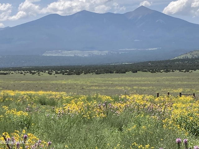 23320 Forest Service 548 Rd, Flagstaff, AZ 86001 - photo 10