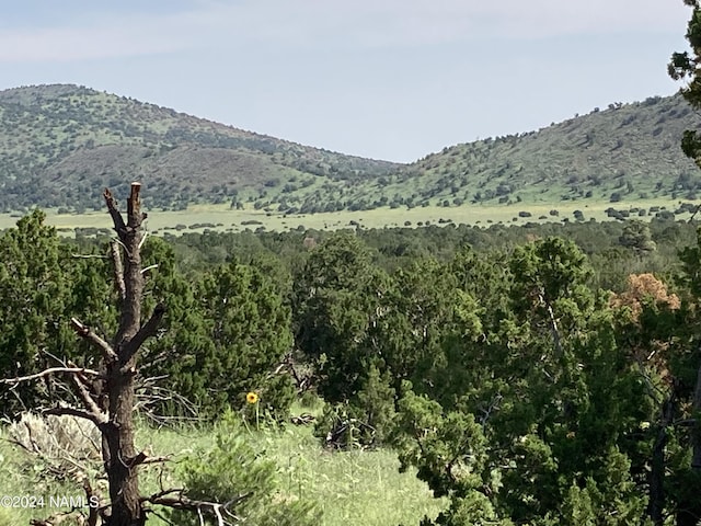 23320 Forest Service 548 Rd, Flagstaff, AZ 86001 - photo 1