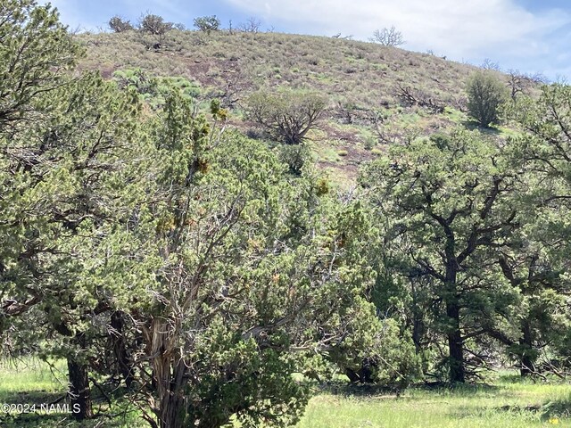 23320 Forest Service 548 Rd, Flagstaff, AZ 86001 - photo 13